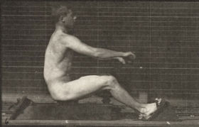 Plate 328 Rowing — figure reference